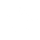 Bendito Estilo Shoes